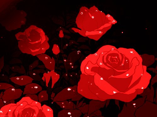 Red Roses